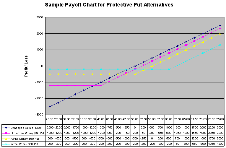 Sample Payoff Chart for Protective Put Strategies